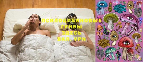 винт Алексеевка