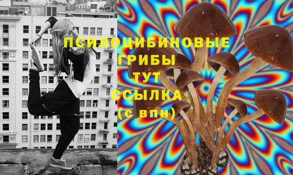 героин Алексин